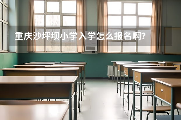 重庆沙坪坝小学入学怎么报名啊？