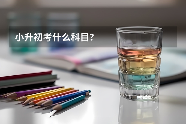 小升初考什么科目？
