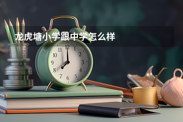 龙虎塘小学跟中学怎么样