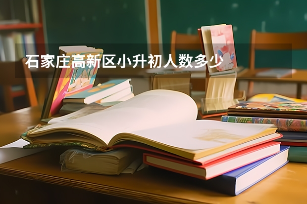 石家庄高新区小升初人数多少