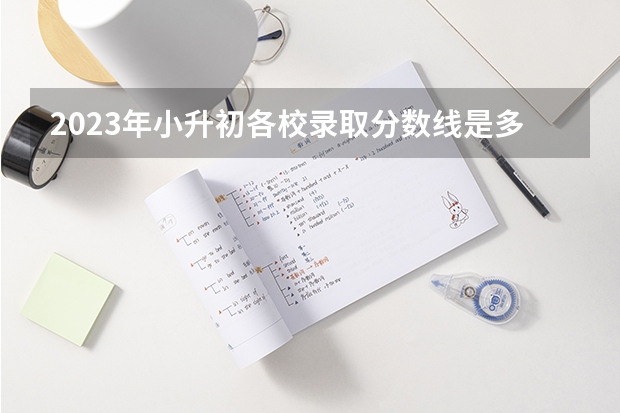 2023年小升初各校录取分数线是多少分
