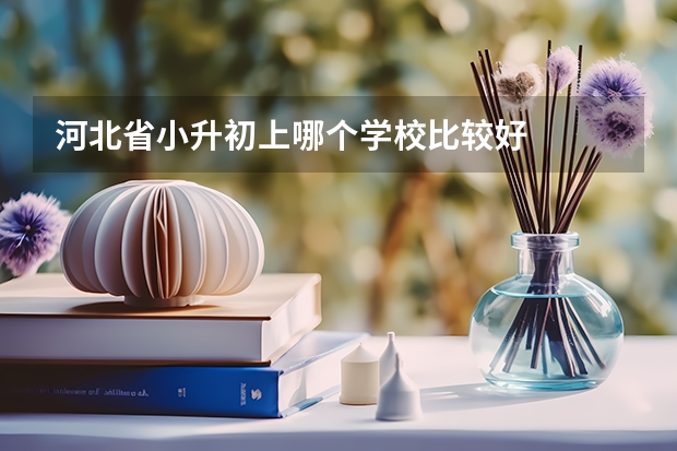 河北省小升初上哪个学校比较好