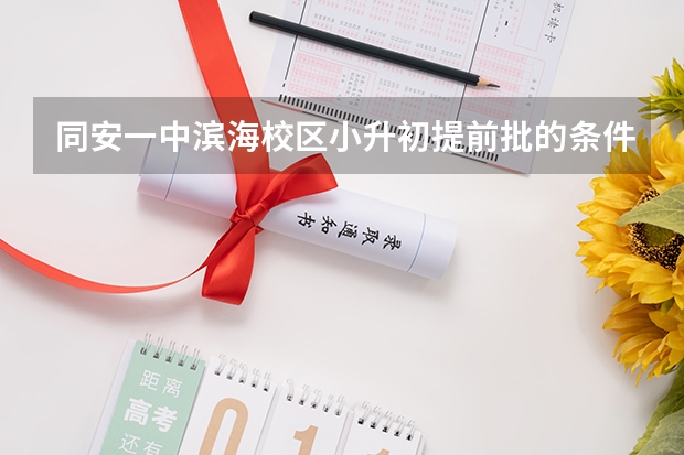 同安一中滨海校区小升初提前批的条件 厦门小升初电脑派位规则