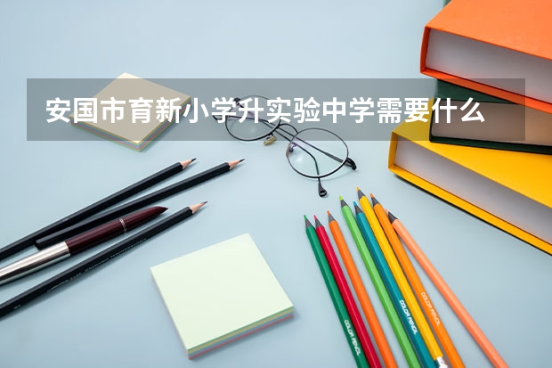 安国市育新小学升实验中学需要什么