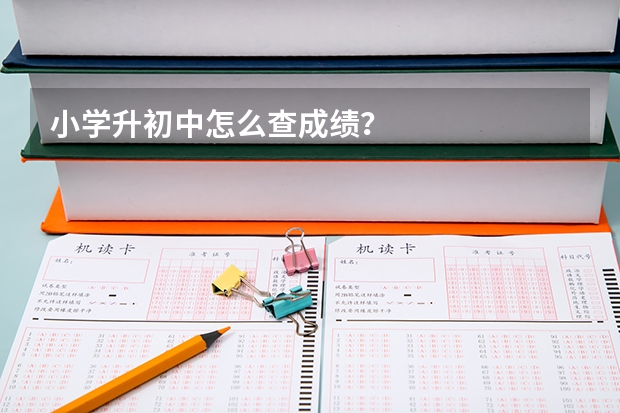 小学升初中怎么查成绩？