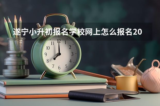 遂宁小升初报名学校网上怎么报名2022什么时候报名