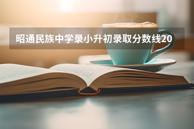 昭通民族中学录小升初录取分数线2022 新都四中小升初招生简章？