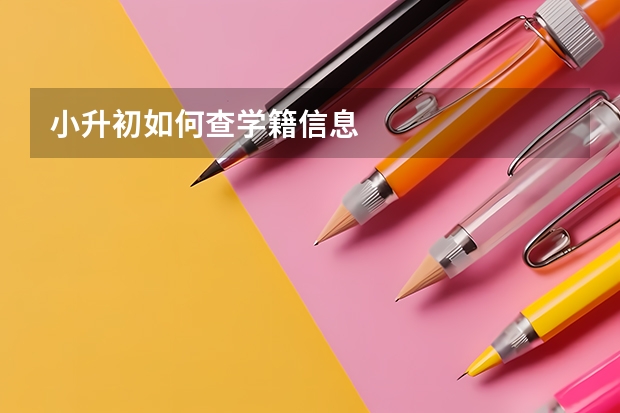 小升初如何查学籍信息