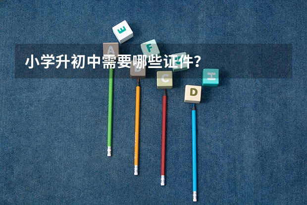 小学升初中需要哪些证件？