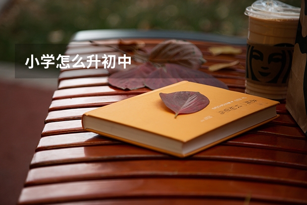 小学怎么升初中