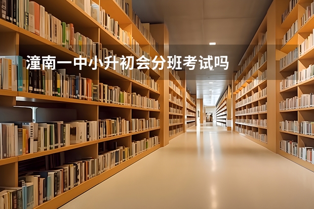 潼南一中小升初会分班考试吗