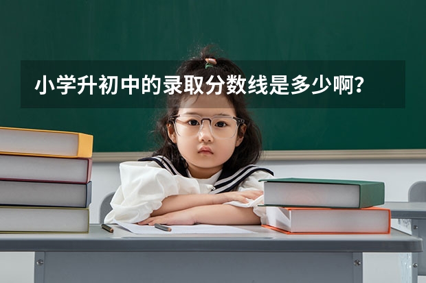 小学升初中的录取分数线是多少啊？