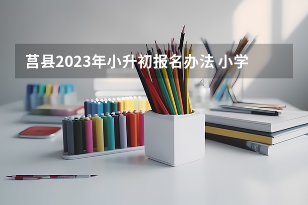 莒县2023年小升初报名办法 小学升初中是根据户口所在地还是实际居住地来分配？