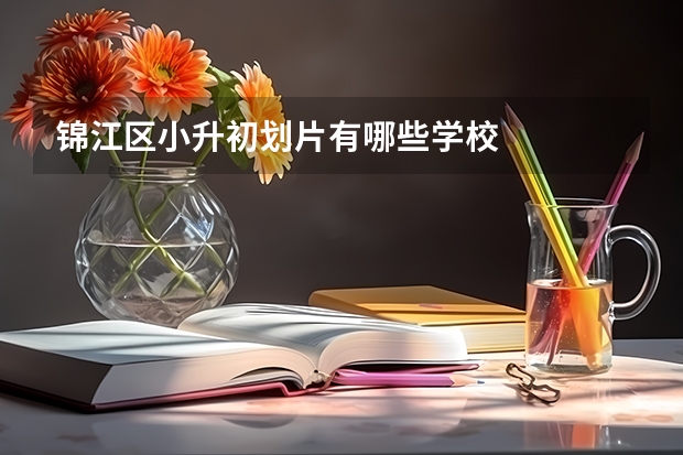 锦江区小升初划片有哪些学校