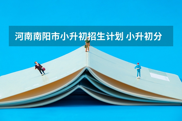 河南南阳市小升初招生计划 小升初分数线录取分数线河南