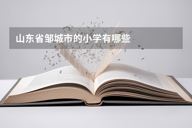 山东省邹城市的小学有哪些