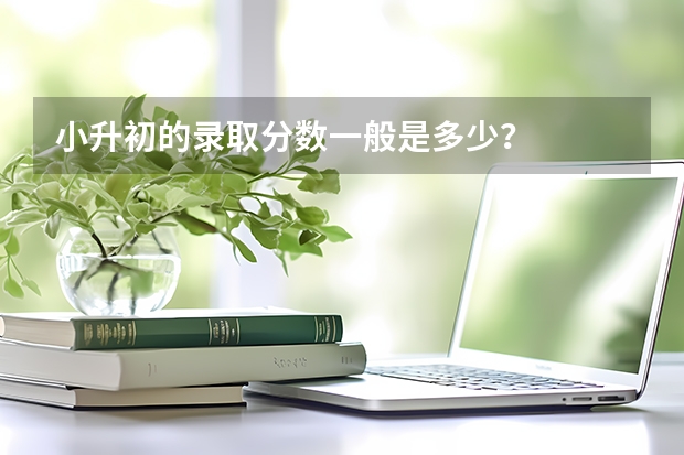 小升初的录取分数一般是多少？
