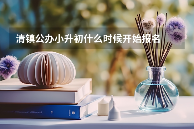 清镇公办小升初什么时候开始报名